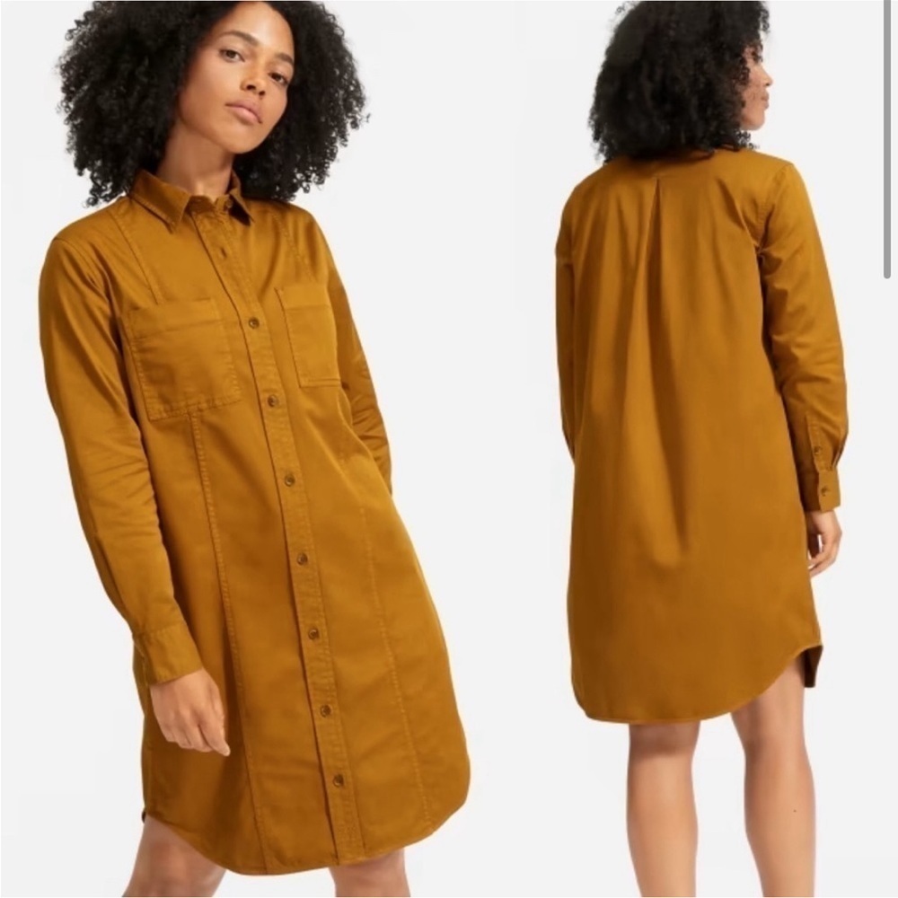 Everlane modern utility shirt dress size 6
